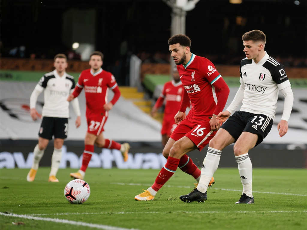 赛的表现将 赛的表现将