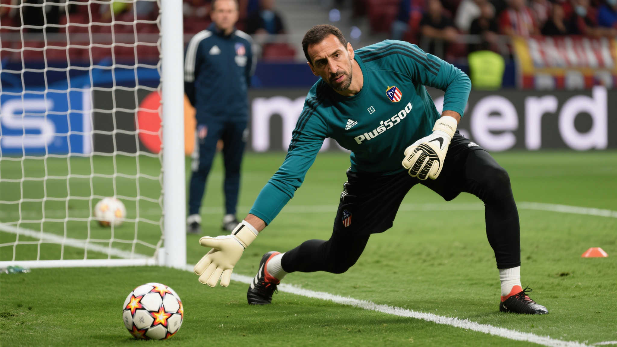 将是助力中 将是助力中